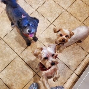 Meet your Posher, Kristine